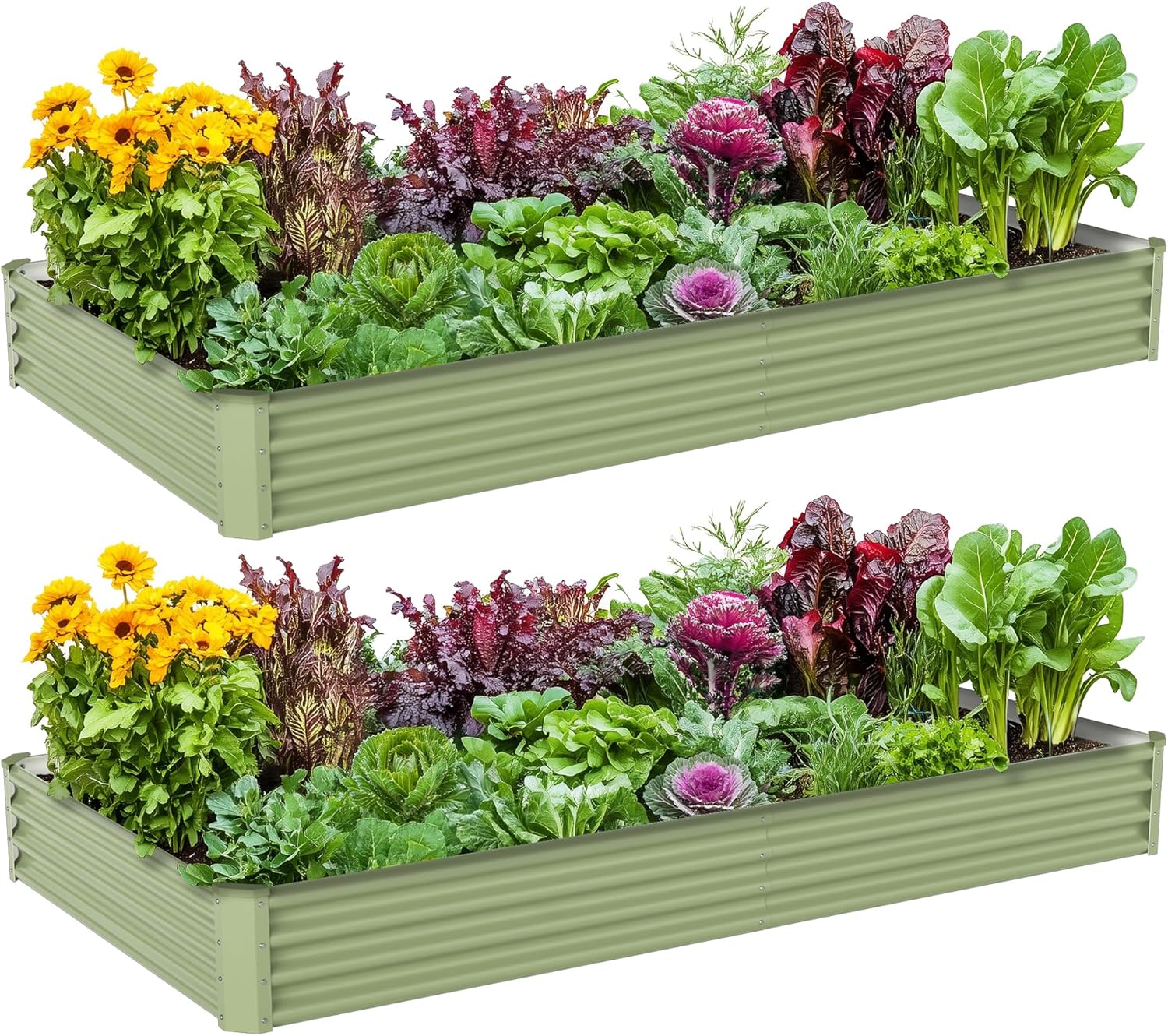 Raised Garden Bed - Kotak Tanam Sayuran Luar Ruangan dari