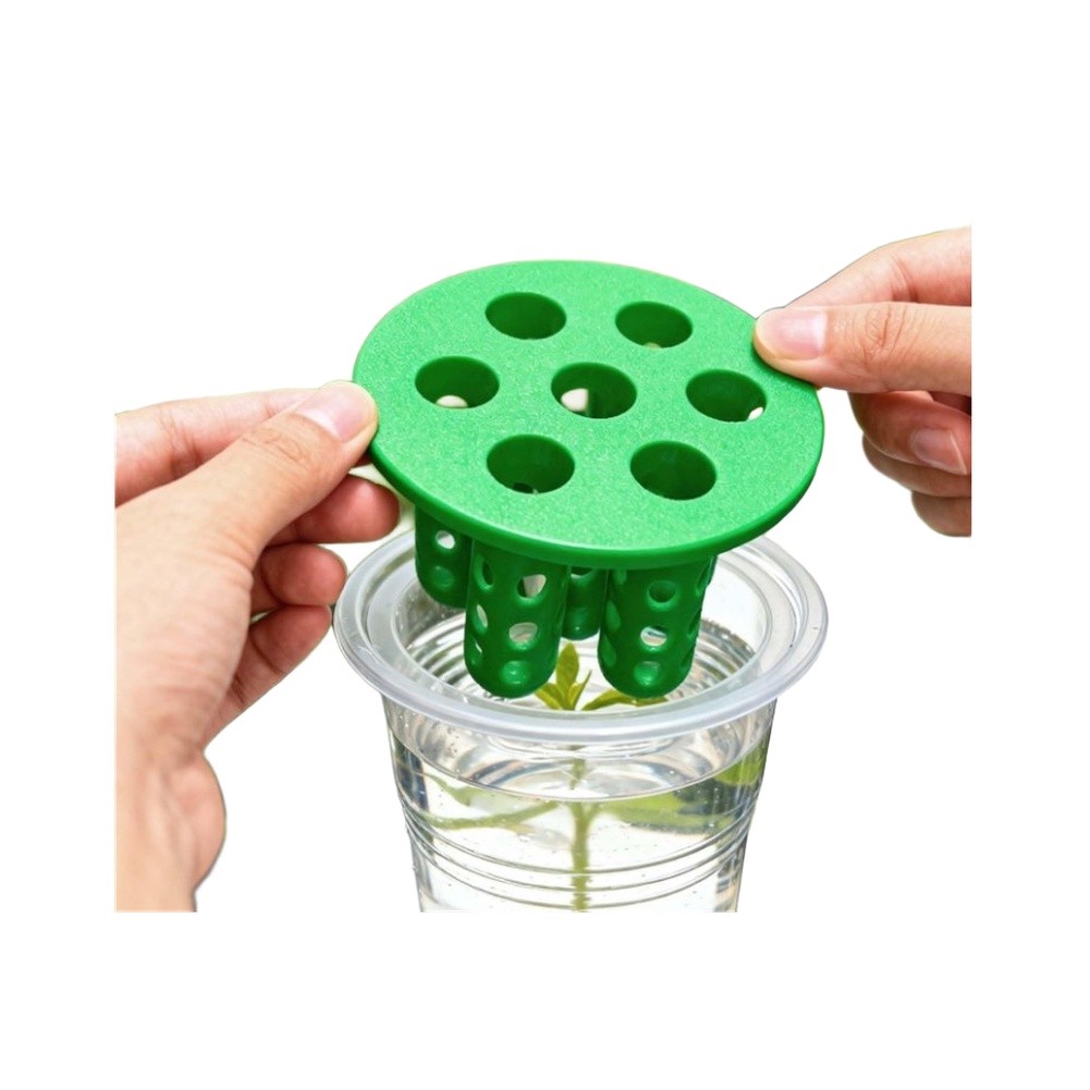 Hydroponic Kit - 4pcs Kit Penyemaian Bawang Hijau: Wadah