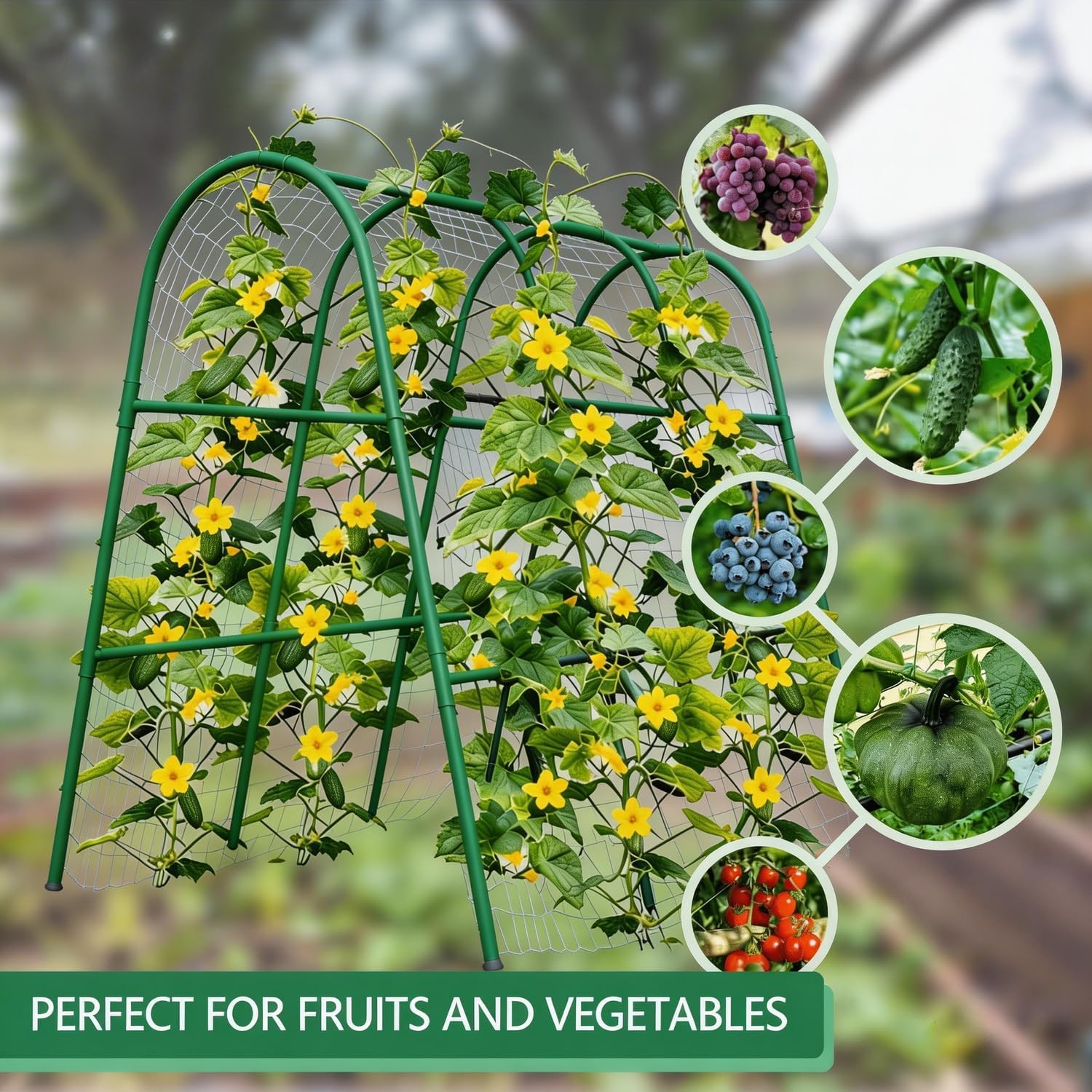 Trellis Lengkung Taman 4x5.3FT - Raised Garden Bed ulasan dan harga