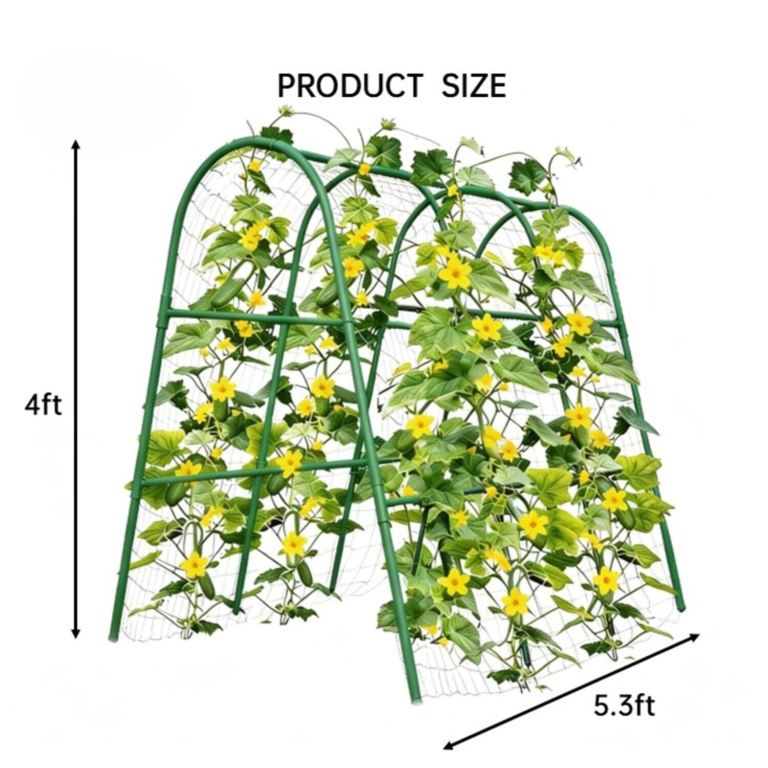 Trellis Lengkung Taman 4x5.3FT - Raised Garden Bed ulasan dan harga