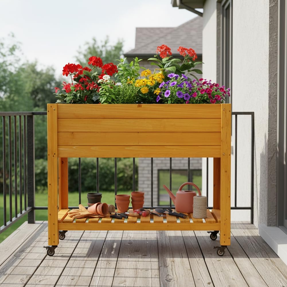 Tempat Tanam Kayu Terangkat, K - Raised Garden Bed ulasan dan harga