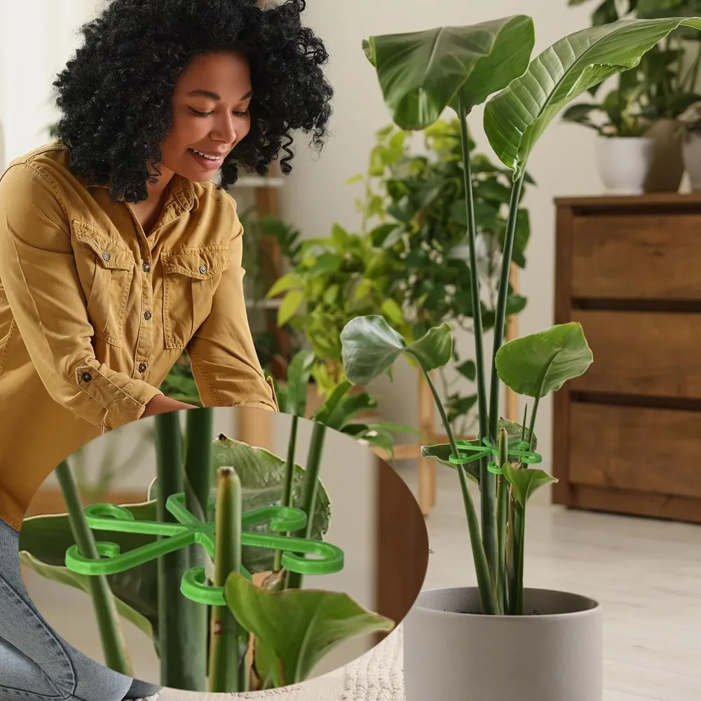 Tiang Penyangga Batang Tanaman - Indoor Herb Garden ulasan dan harga