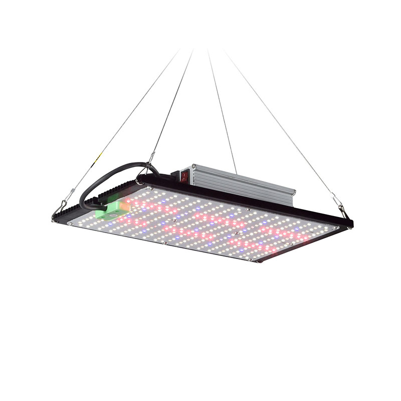 Lampu LED Quantum-Board untuk  - Grow Light Led ulasan dan harga