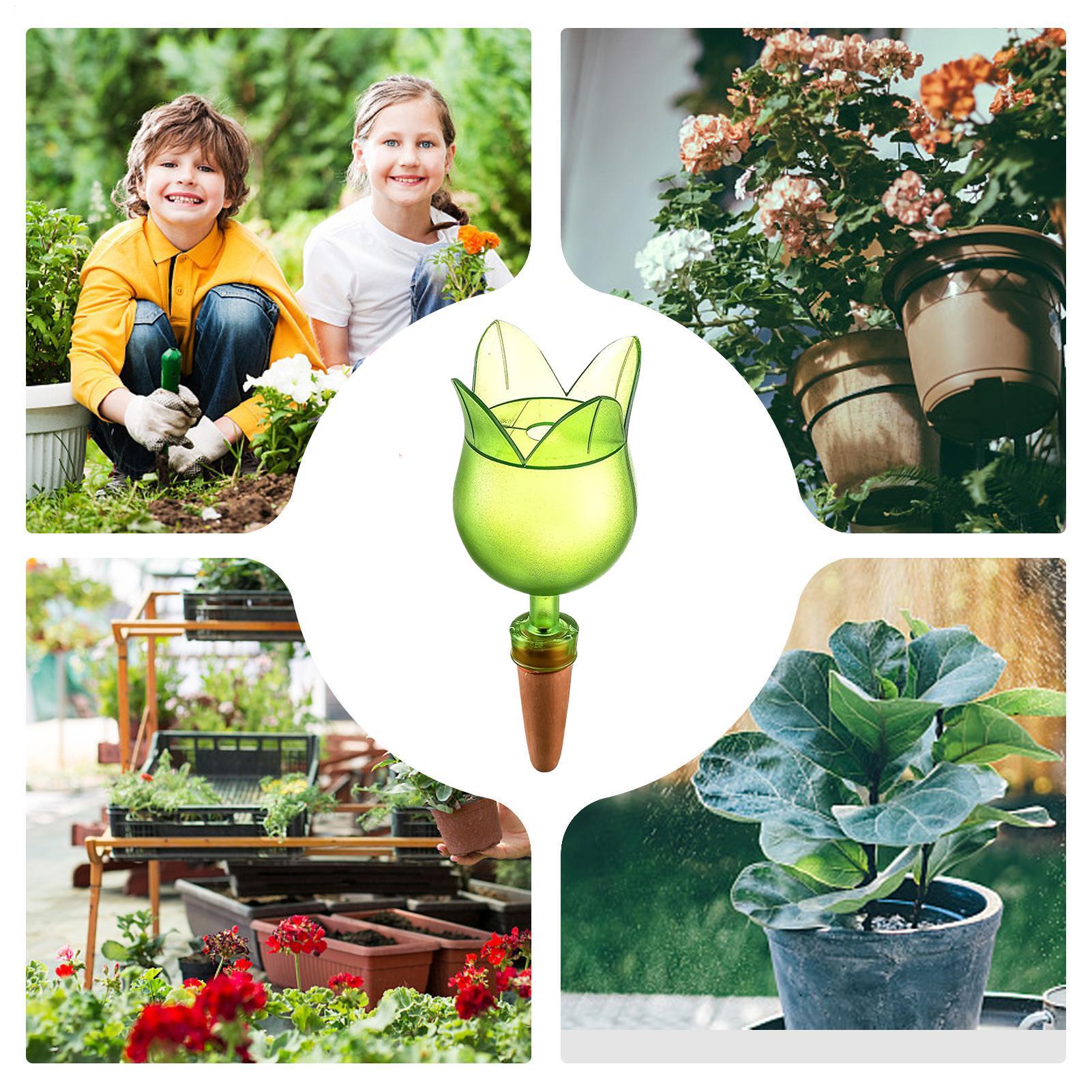 Sistem Irigasi Tetes Otomatis  - Self Watering Planter ulasan dan harga
