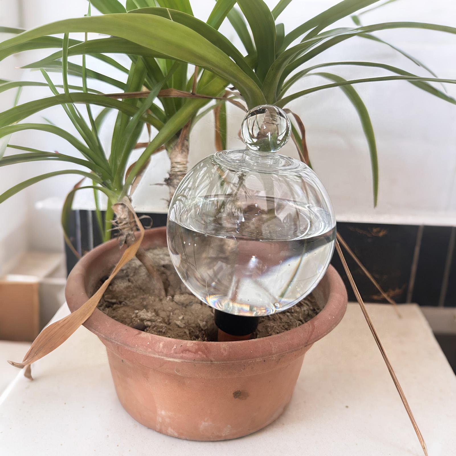 Bola Penyiram Tanaman 4pcs 500 - Self Watering Planter ulasan dan harga