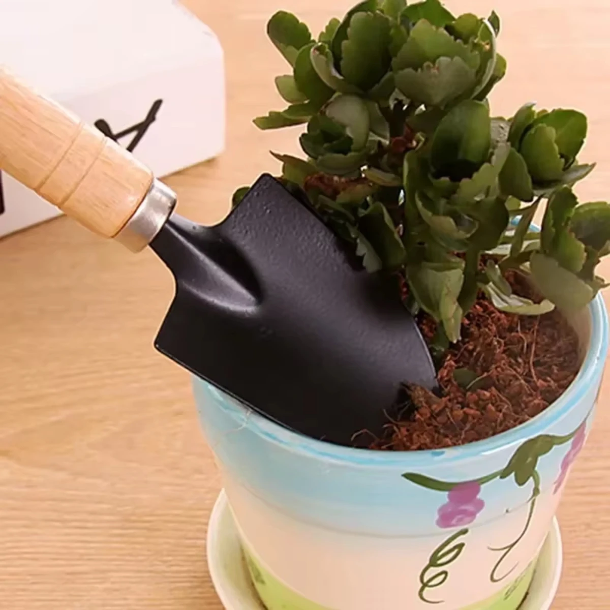 3 Buah/Set Peralatan Berkebun  - Indoor Herb Garden ulasan dan harga