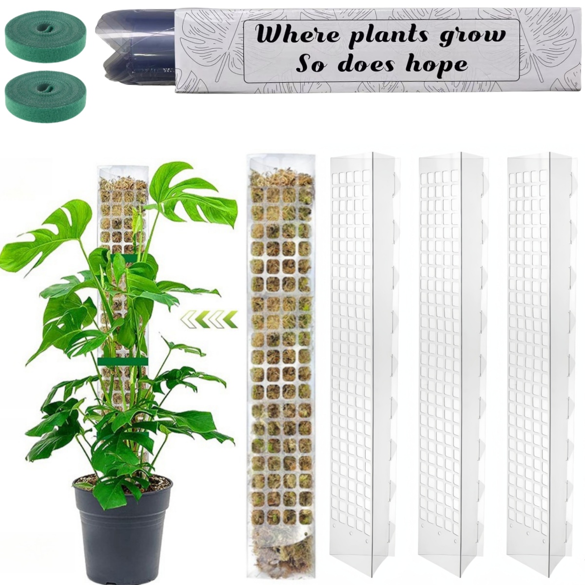 Lumut tiang tanaman plastik be - Indoor Herb Garden ulasan dan harga