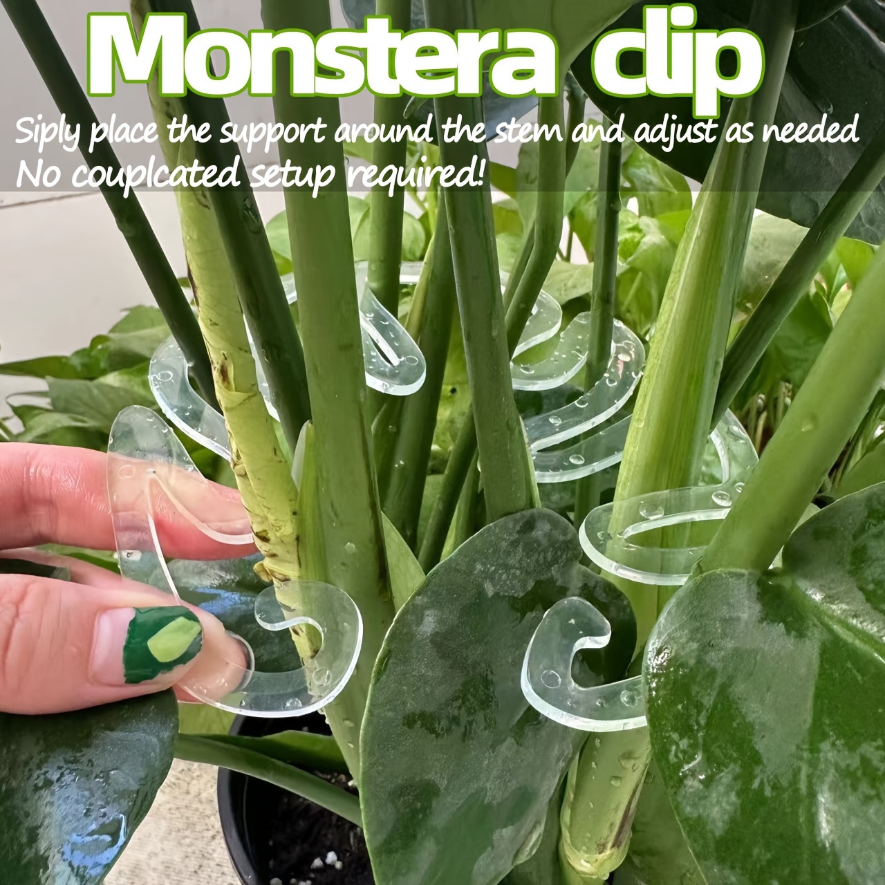 Klip Penyangga Tanaman Monster - Vertical Planter ulasan dan harga