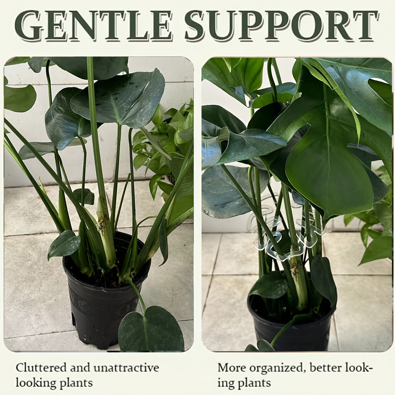 Klip Penyangga Tanaman Monster - Vertical Planter ulasan dan harga
