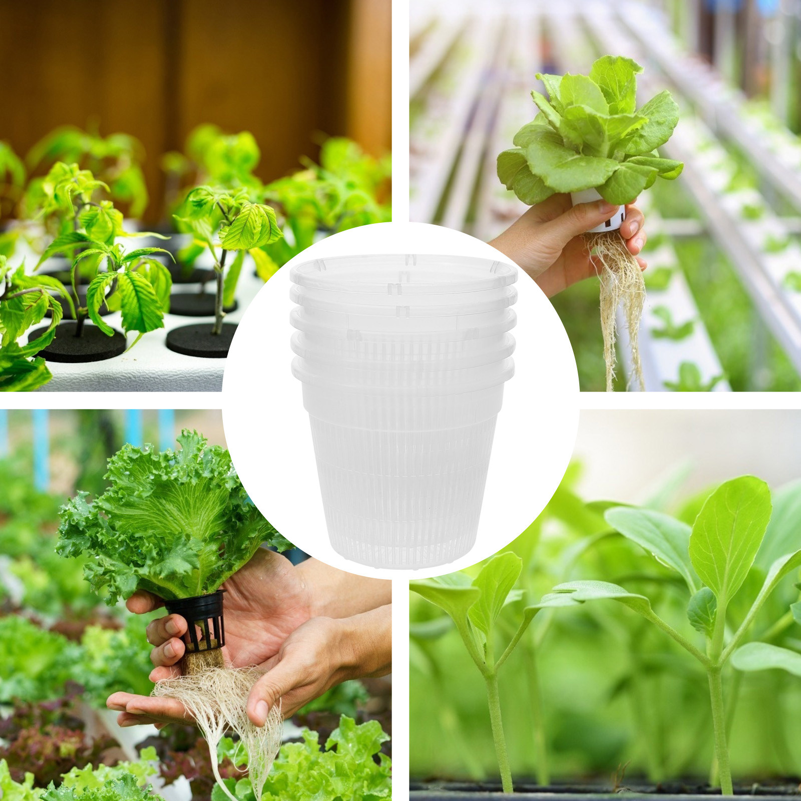 5 Buah Pot Jaring untuk Penana - Plant Pot ulasan dan harga