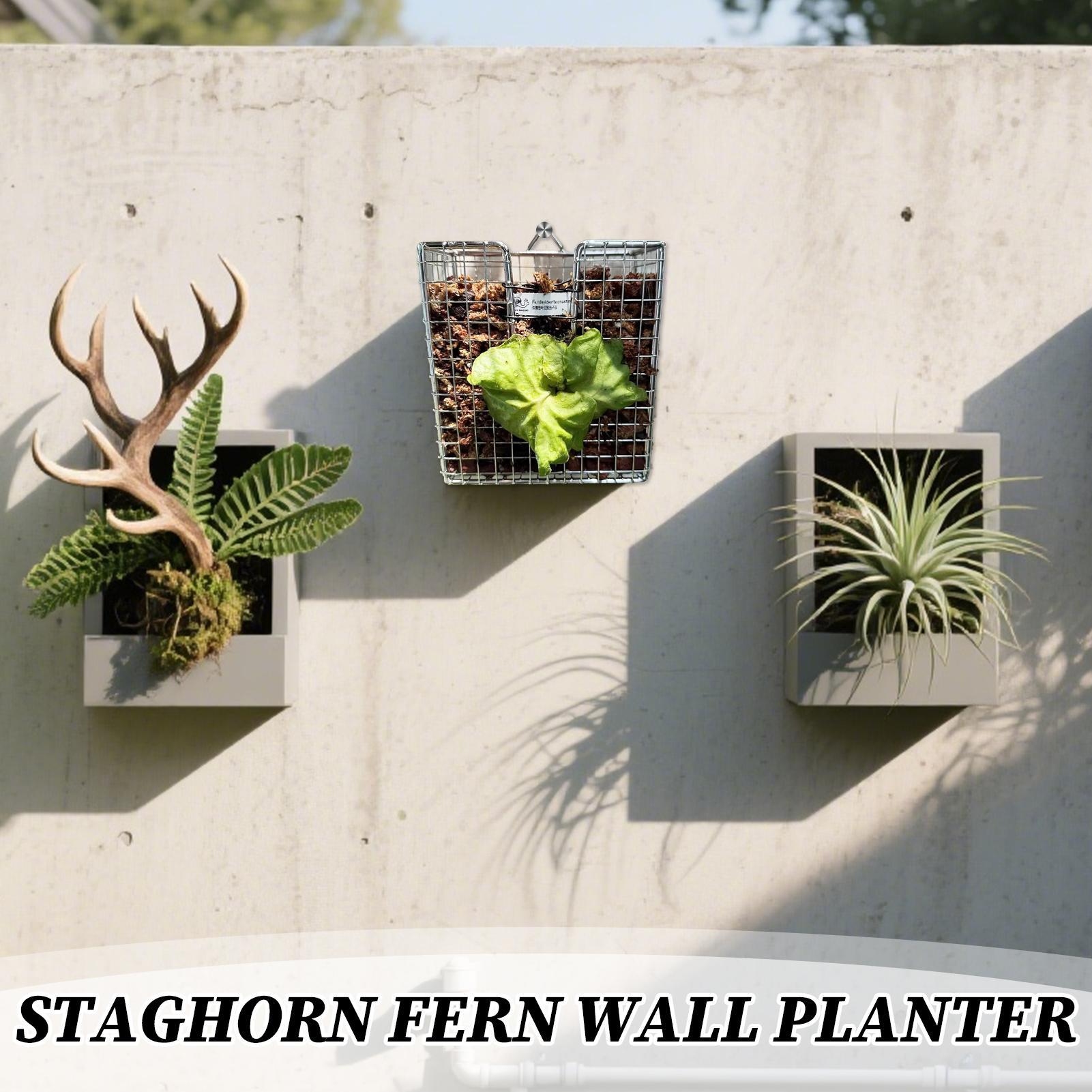 Kit Pemasangan Pakis Rusa dari - Vertical Planter ulasan dan harga