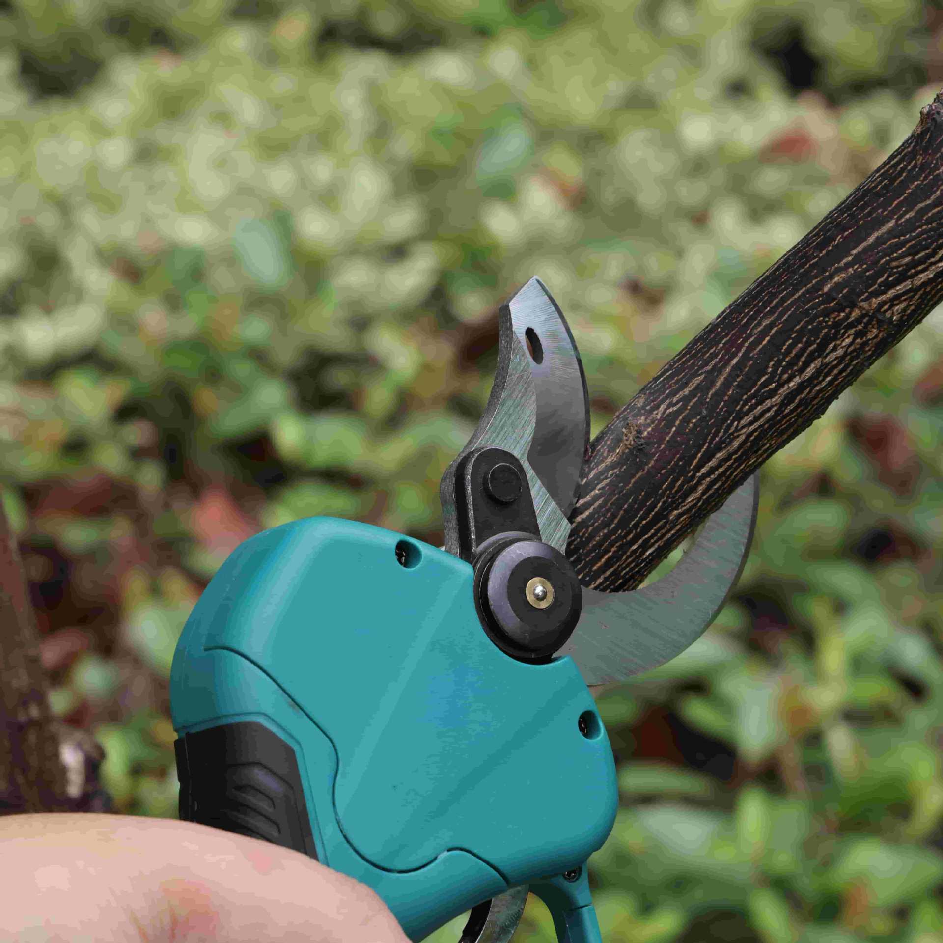 Gunting pangkas kebun tiang ti - Pruning Shears ulasan dan harga