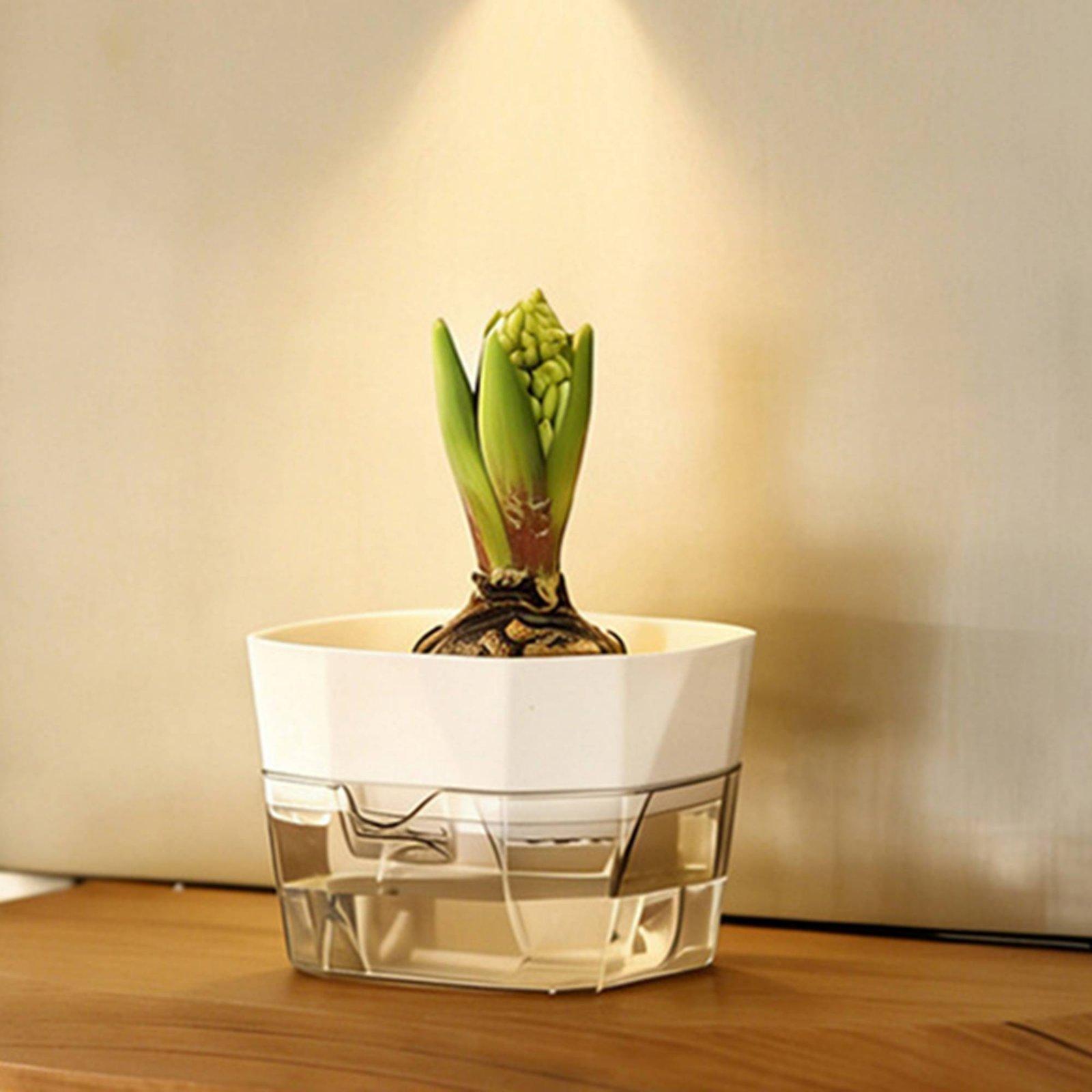 Vas Hidroponik Dua Lapis Penye - Self Watering Planter ulasan dan harga