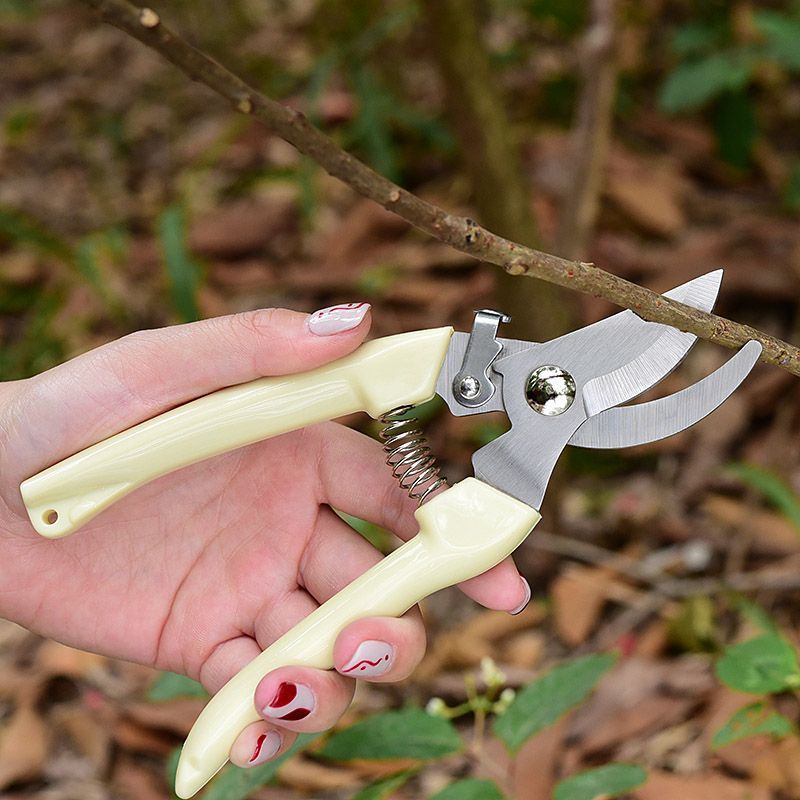 Gunting Pemangkas Taman Hemat  - Pruning Shears ulasan dan harga