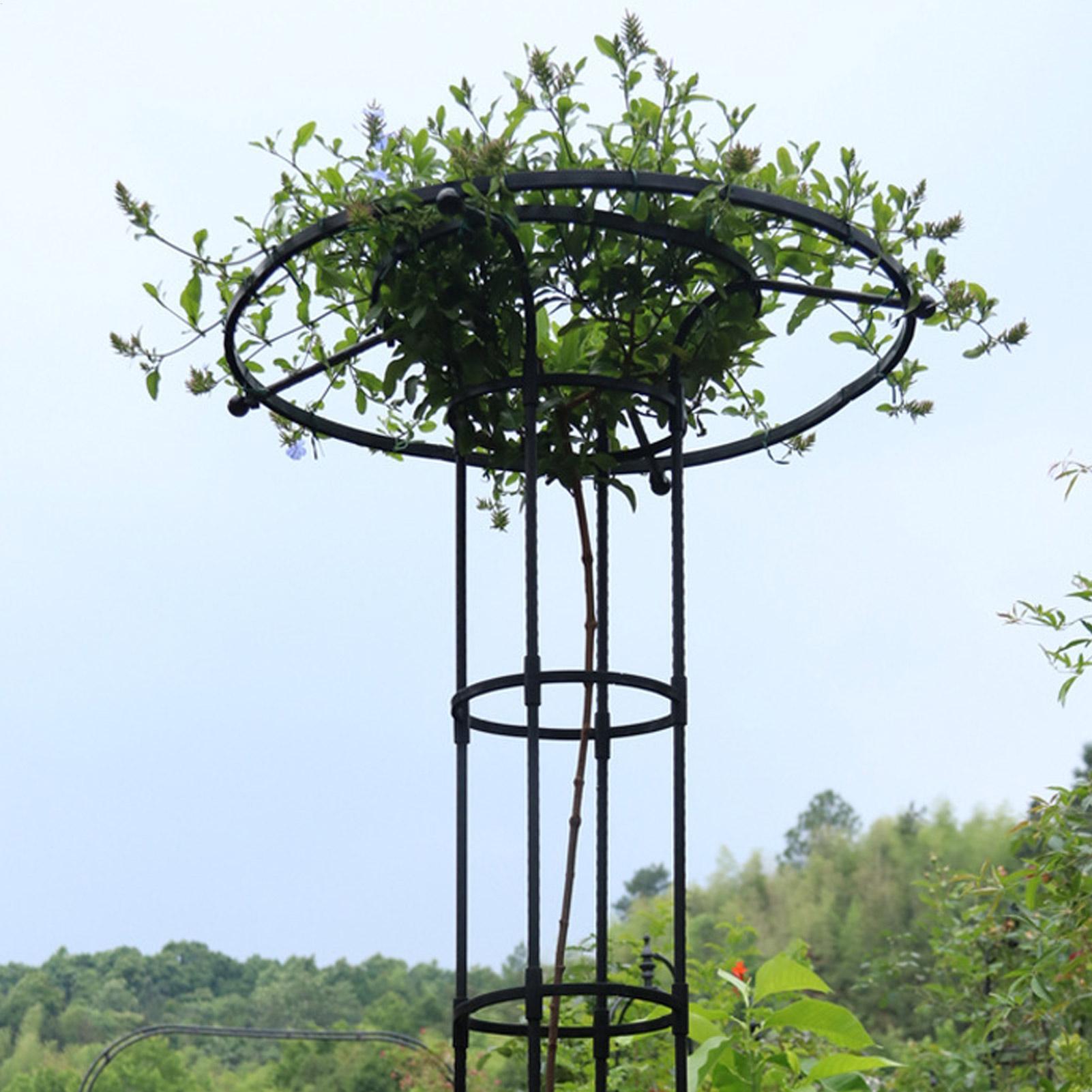Penyangga Tanaman Tipe Payung, - Vertical Planter ulasan dan harga