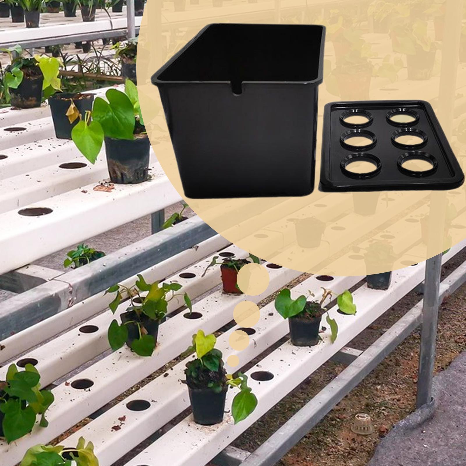 Perlengkapan Penanaman Hidropo - Hydroponic Kit ulasan dan harga