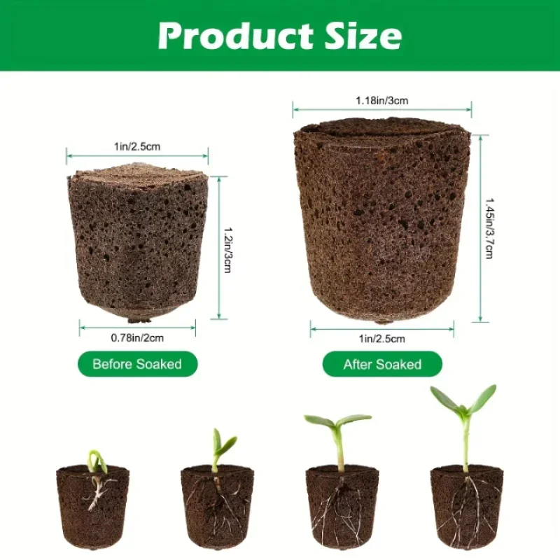 Kit Spons Pemula Bibit untuk S - Hydroponic Kit ulasan dan harga