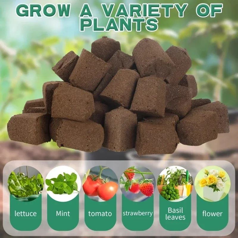 Kit Spons Pemula Bibit untuk S - Hydroponic Kit ulasan dan harga