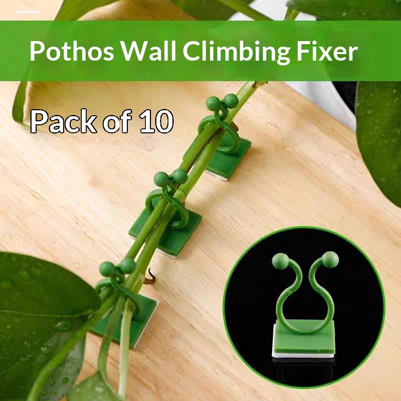 Klip Perekat Tanaman Merambat  - Indoor Herb Garden ulasan dan harga