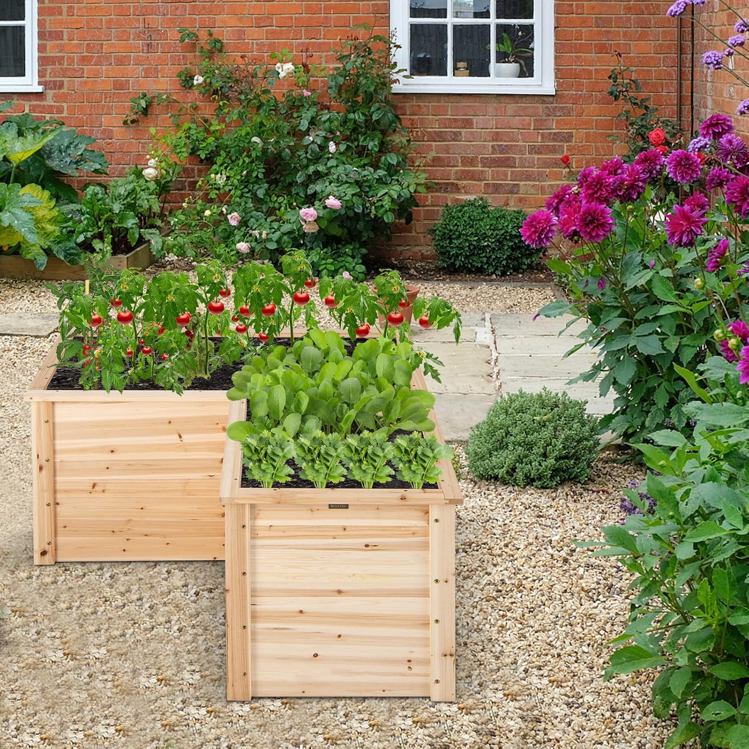 Tempat Tanam Kayu Solid untuk  - Raised Garden Bed ulasan dan harga