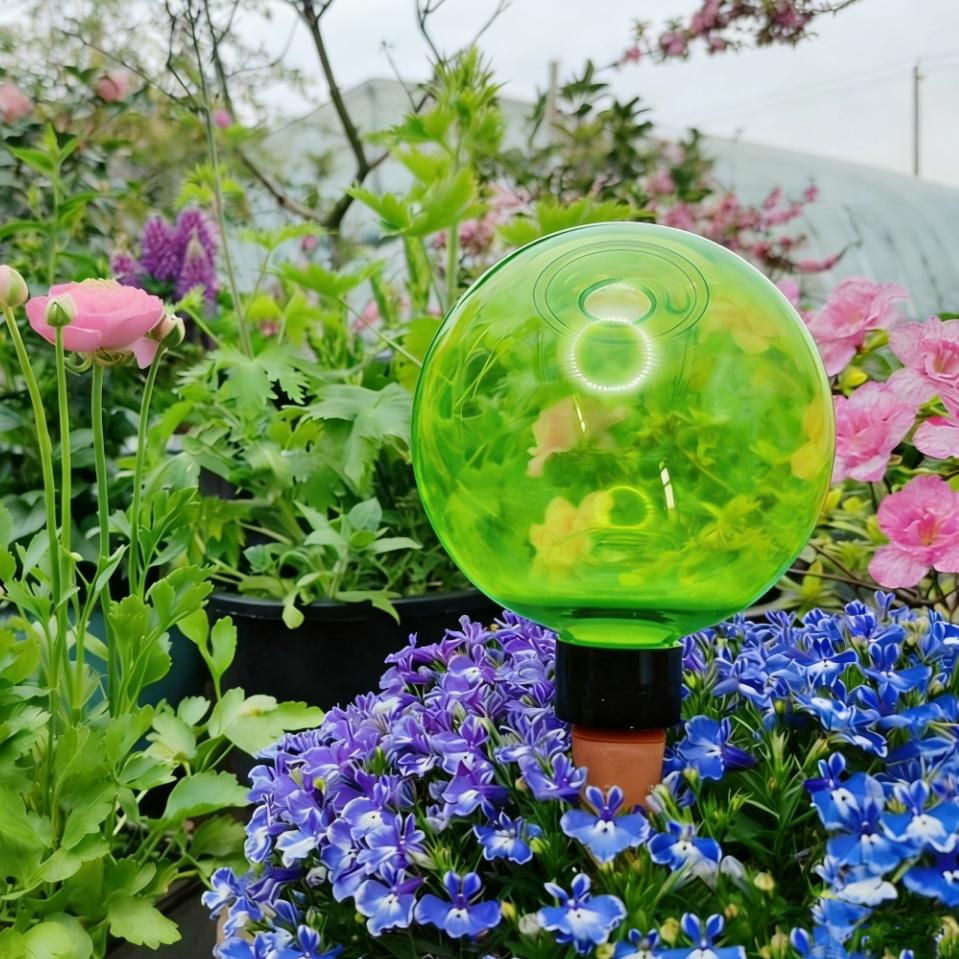3pcs Bola Penyiram Tanaman Bes - Self Watering Planter ulasan dan harga