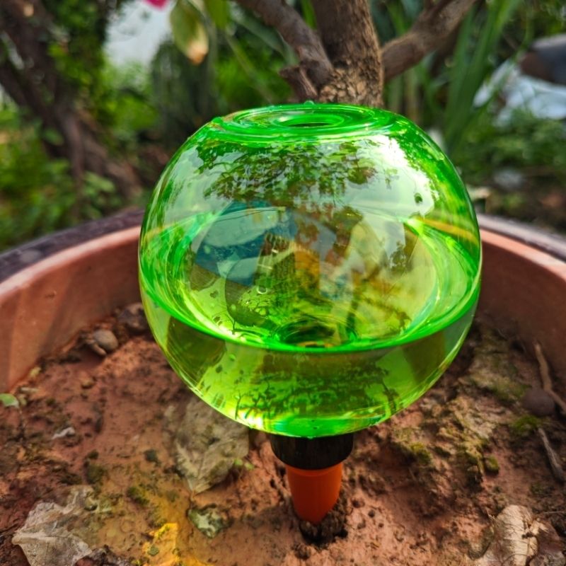 3pcs Bola Penyiram Tanaman Bes - Self Watering Planter ulasan dan harga