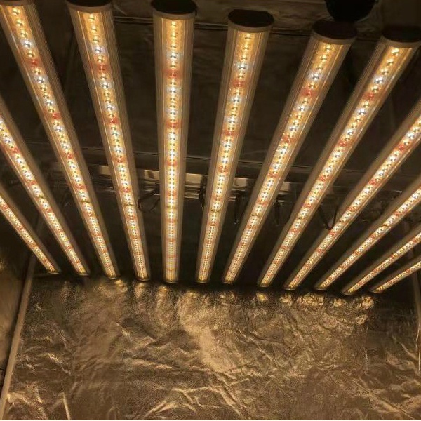 Lampu Tanam LED Pabrik LUX Chi - Grow Light Led ulasan dan harga