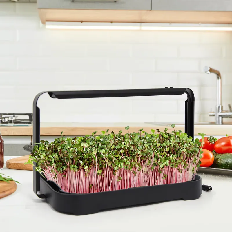 Baki Hidroponik untuk Tanaman  - Hydroponic Kit ulasan dan harga