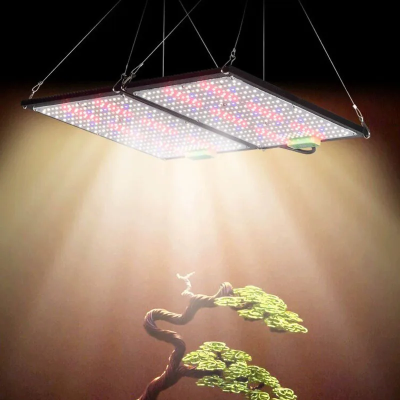 Lampu LED Quantum-Board untuk  - Grow Light Led ulasan dan harga