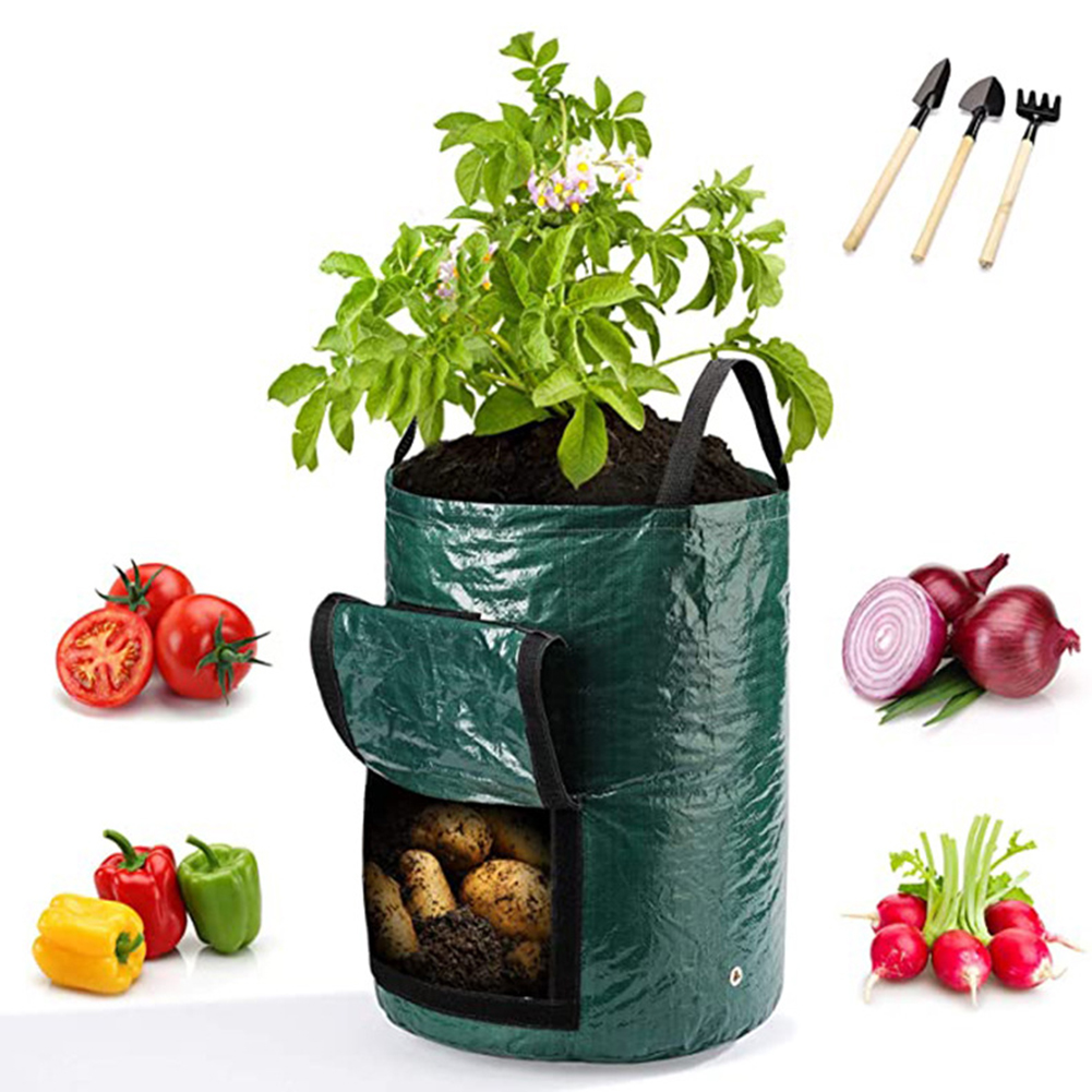 1 Buah Tas Tanam 10 Galon untu - Grow Bag ulasan dan harga